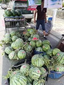 义乌夜市吃瓜事件