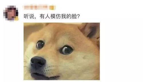 狗头小剧场吃瓜,吃瓜群众围观娱乐圈风云