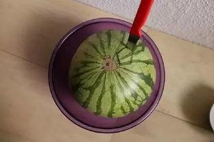 醉了吃瓜,揭秘娱乐圈那些不为人知的幕后故事