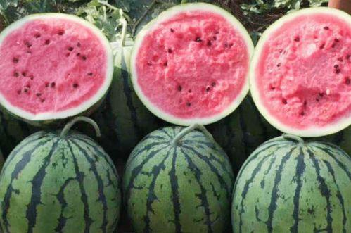 梦见死人买瓜吃瓜,揭秘梦中死人买瓜吃瓜的神秘寓意