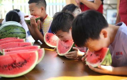吃瓜比赛亲子,吃瓜比赛趣味无限