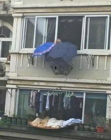 小区窗户楼下吃瓜,邻里和谐共赏