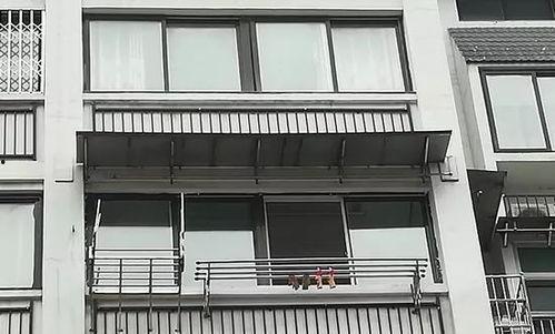 小区窗户楼下吃瓜,邻里和谐共赏