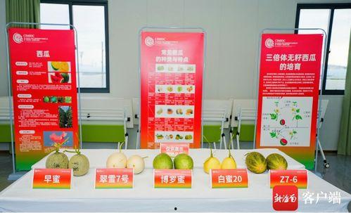 吃瓜群众的名片,网络时代的舆论观察者