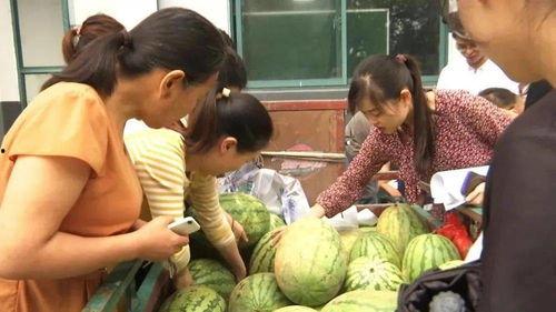 帮助吃瓜群众,吃瓜群众必备的明星八卦指南