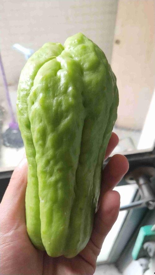 新疆栗瓜怎样吃,解锁美味新体验