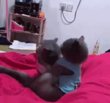 军人吃瓜动态图片,军人吃瓜瞬间，展现军旅生活趣味