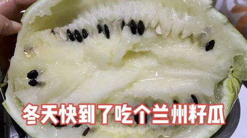 兰州籽瓜怎么吃,解锁美味新体验