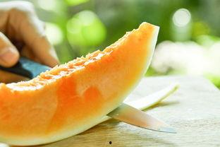 滑滑吃瓜,揭秘娱乐圈的甜蜜与苦涩