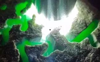 吃瓜绿恐龙,探寻吃瓜绿恐龙的神秘世界