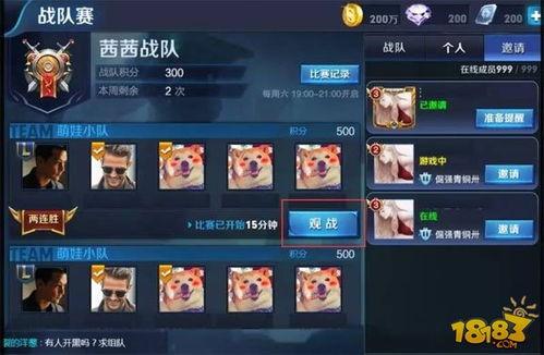 吃瓜爆料王者战队,王者战队内部风云再起