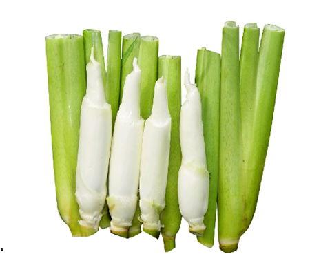 吃茭白可以吃Kul瓜吗,探索两者搭配的饮食奥秘