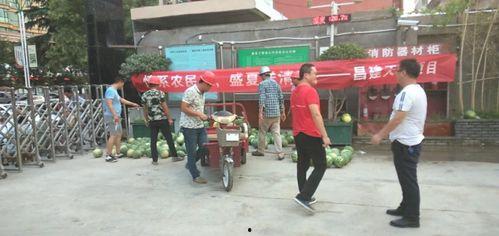 施工现场吃瓜,吃瓜趣事记