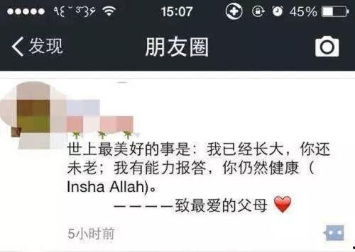 吃瓜中心密码,揭秘网络热议背后的真相与趣味