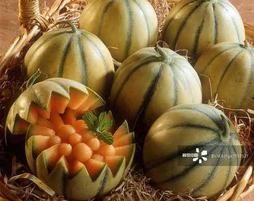 吃瓜中心密码,揭秘网络热议背后的真相与趣味