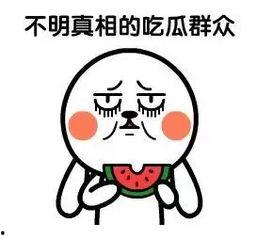 吃瓜群众的网络用语,揭秘娱乐圈那些事儿