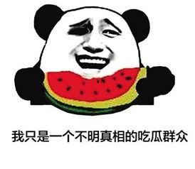 吃瓜群众的网络用语,揭秘娱乐圈那些事儿