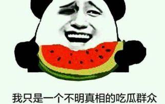 吃瓜群众的网络用语,揭秘娱乐圈那些事儿