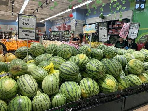 无锡吃瓜老师,揭秘校园里的趣味故事与教育智慧