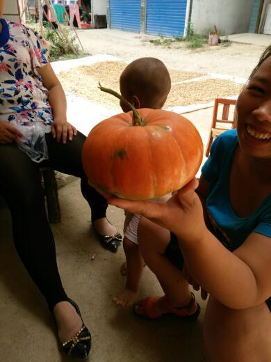 一二布布吃瓜,揭秘娱乐圈幕后故事