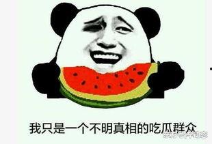 国内外吃瓜事件,揭秘国内外热点事件背后的八卦真相