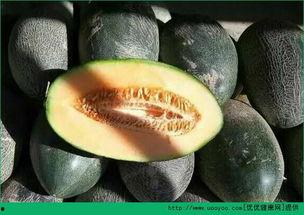 宝宝发烧可以吃哈密瓜吗,宝宝发烧期间适宜食用哈密瓜吗？