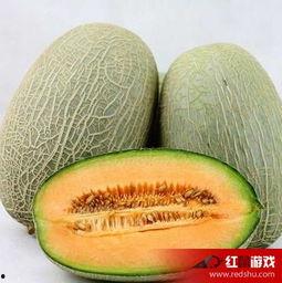 宝宝发烧可以吃哈密瓜吗,宝宝发烧期间适宜食用哈密瓜吗？