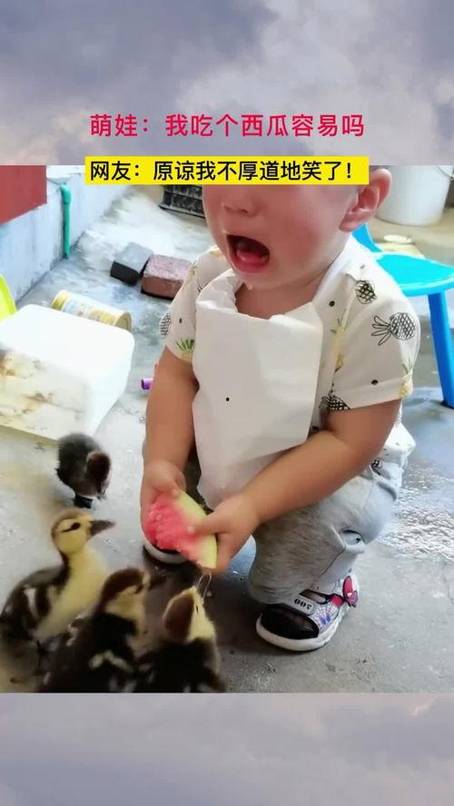 萌娃吃瓜短剧,笑料百出短剧来袭！