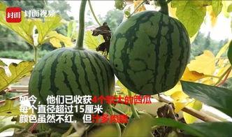 带你吃瓜男生寝室,趣味横生的宿舍生活大揭秘