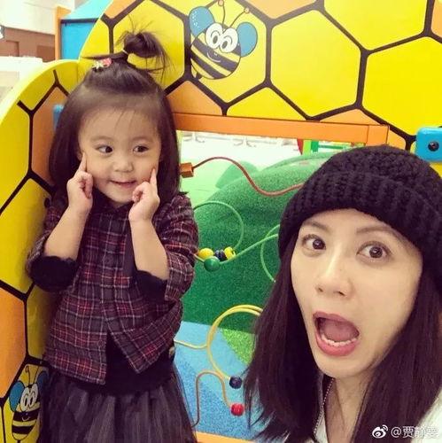 吃瓜贾静雯,吃瓜群众眼中的甜蜜辣妈