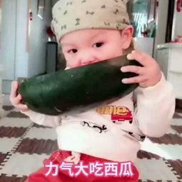 人偶搞笑吃瓜视频,欢乐无限，带你领略另类喜剧魅力