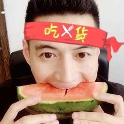 人偶搞笑吃瓜视频,欢乐无限，带你领略另类喜剧魅力