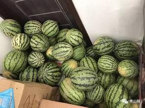 艺术home吃瓜群,揭秘“吃瓜群”背后的艺术江湖