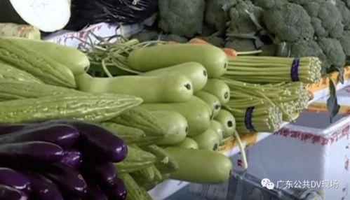 宁波吃瓜中毒,意外中毒背后的食品安全警示