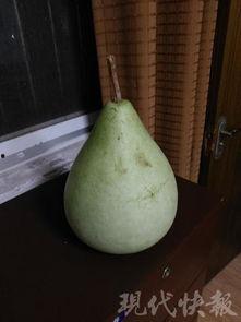 宁波吃瓜中毒,意外中毒背后的食品安全警示