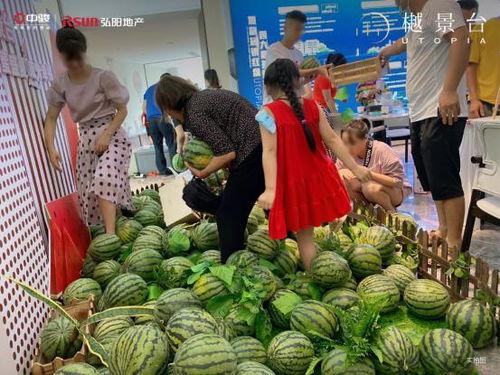 鹿邑全民吃瓜配送