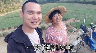 乡下吃瓜大妈小说