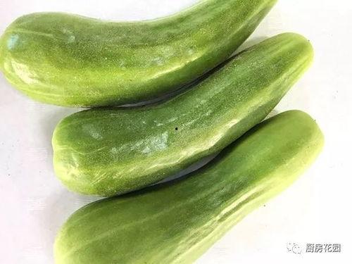 最早的吃瓜视频,揭秘最早吃瓜群众的诞生