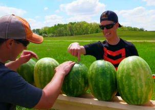 美国吃瓜之旅之六,探寻异国风味与本土文化的碰撞