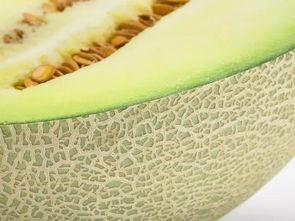 吃瓜吃瓤还是皮好吃,吃瓜吃瓤还是皮，谁才是美味之王？