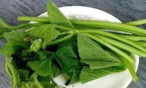 胃痛可以吃兰瓜吗,缓解不适新选择