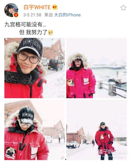 吃瓜群众刘萌萌,吃瓜群众的视角解读娱乐圈风云