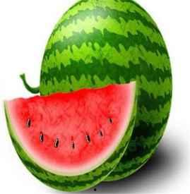 长蓝瓜怎么吃,探索美味新境界