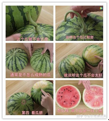 美好的吃瓜,探寻美好生活中的吃瓜时光