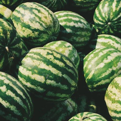 美好的吃瓜,探寻美好生活中的吃瓜时光