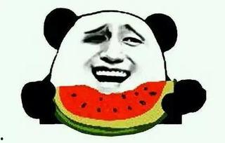 低头吃瓜情侣头,低头情侣共享瓜果时光