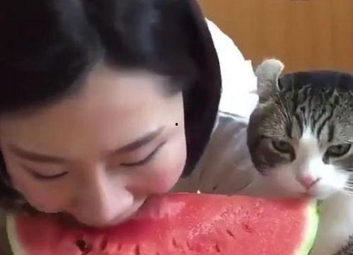 低头吃瓜情侣头,低头情侣共享瓜果时光