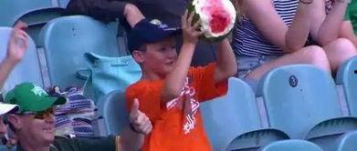 吃瓜少年cj,揭秘娱乐圈背后的那些事儿