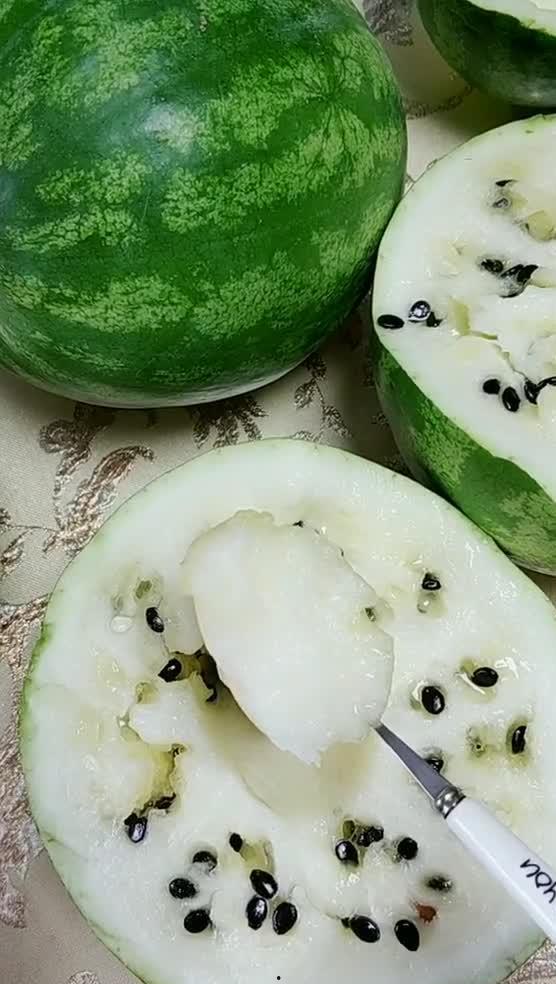 东北蛇精吃瓜,吃瓜群众的趣味生活揭秘