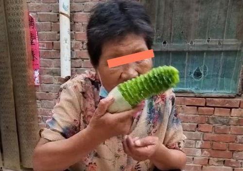 喂媳妇吃瓜,喂媳妇吃瓜，共享幸福时光